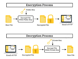 network security