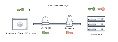 network security